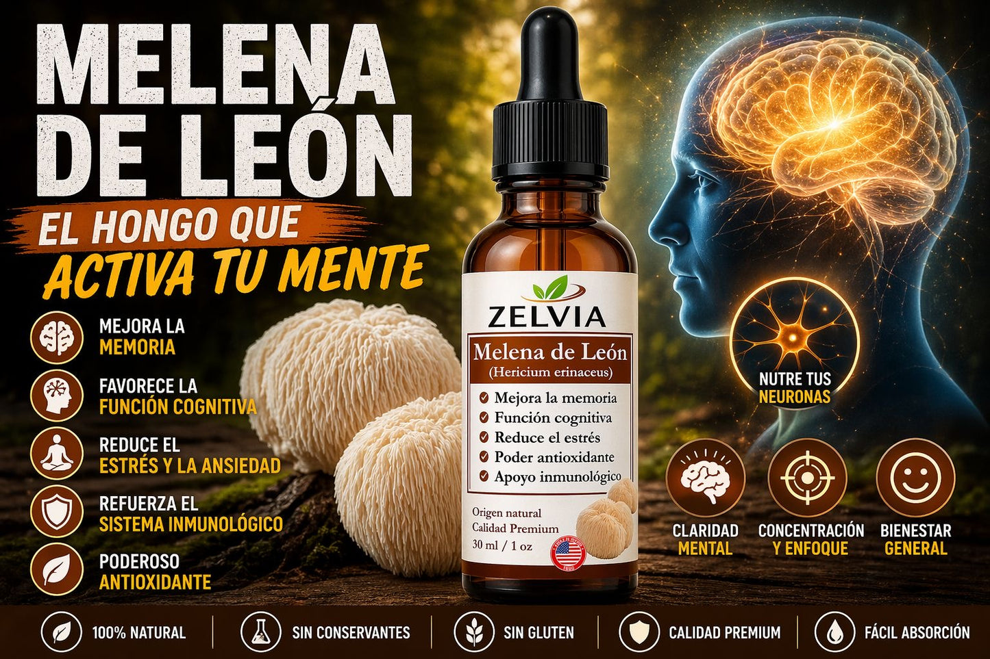 Extracto Melena De Leon 30ml Extracto de Hericium erinaceus (Lion's Mane)