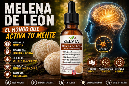 Extracto Melena De Leon 30ml Extracto de Hericium erinaceus (Lion's Mane)