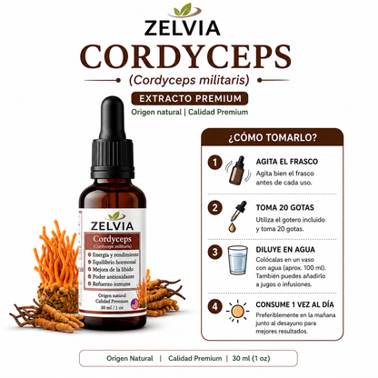 Extracto Cordyceps Militaris 30ml Cordyceps militaris