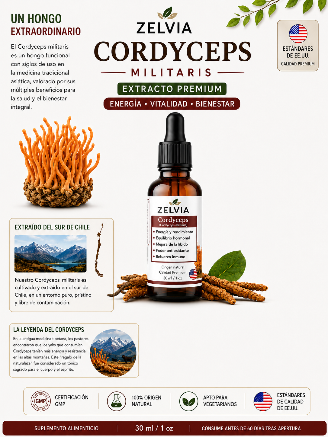Extracto Cordyceps Militaris 30ml Cordyceps militaris