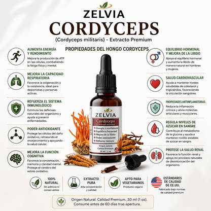 Extracto Cordyceps Militaris 30ml Cordyceps militaris