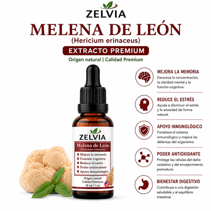 Extracto Melena De Leon 30ml Extracto de Hericium erinaceus (Lion's Mane)