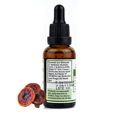 Extracto Reishi Ganoderma 30ml Extracto de Ganoderma lucidum